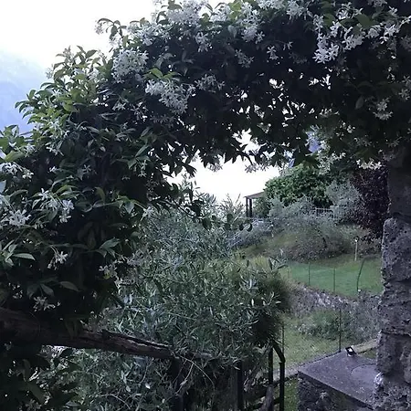 Bed & Breakfast Bellavista *