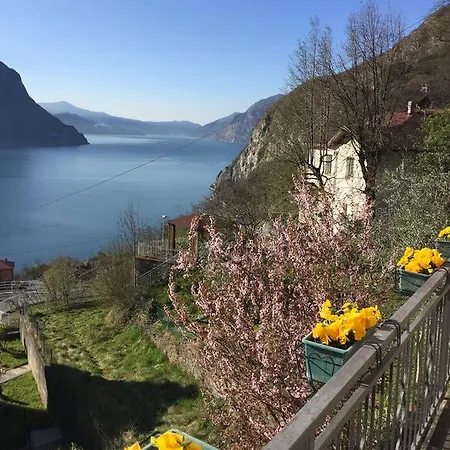 Bellavista